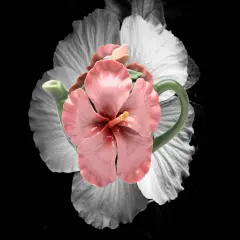 Ceramic Pink Hibiscus Flower Teapot, Gift for Her, Gift for Mom, Kitchen D&eacute;cor, Tea Party D&eacute;cor, Caf&eacute; D&eacute;cor, Kitchen Decor