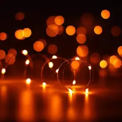 2 Pack Orange String Lights for Halloween 30 LED