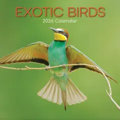 The Gifted Stationary 2026 Square Wall Calendar, Exotic Birds, 16-Month Animals Theme Hanging Calendar with 180 Reminder Stickers, Month Planner for Home and Creative Spaces, 12x12 In Multicolor