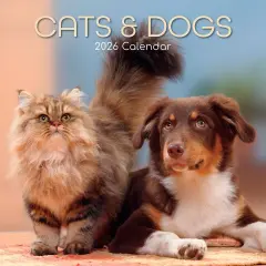 The Gifted Stationary 2026 Square Wall Calendar, Cats & Dogs, 16-Month Animals Theme Hanging Calendar with 180 Reminder Stickers, Month Planner for Home, or Creative Spaces, 12x12 In Multicolor
