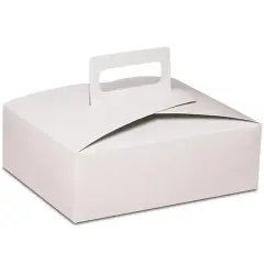 Reusable Flat Take Out Box with Handle 9" x 7" x 3"