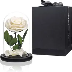 Preserved Flowers White Roses in Glass Dome
