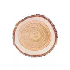 25 Natural 7 in Round Disposable Paper PLATES Wood Slice Design Party Events