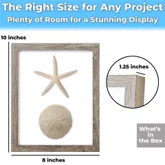 Real Wood 8x10 Shadow Box Frame 1pk. Genuine Hardwood Display with Real Glass. Best Shadowbox to Showcase Photos, Tickets, Wedding Bouquets, CDs, Medals, Awards, Seashells and Insects.