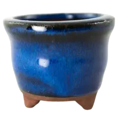 Round Blue Mame Bonsai, Succulent, Accent Plants Pot 3.25"x 3.25"x 1.5" + Mesh