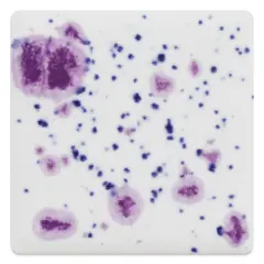 Mayco Jungle Gems Crystal Glaze - Frosted Berries, Pint