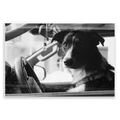 Stupell Industries Taxi Driver Dog Wall Plaque By LSR Creative Studio