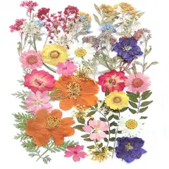 17 Types 48PCS Real Dried Pressed Flowers Leaf Plant Herbarium for DIY Resin Jewelry Making Floral Decors