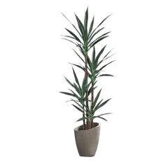 Artificial Agave Plant 5FT with 54 Leaves & 4 Trunks & Elegant Black Pot Faux Tall Floor Fake Large Modern Tree 62 Inch for Home (5FT, 1Pack)