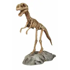 Baby T-Rex Dinosaur Skeleton On Base Life Size Statue