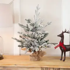 Northlight Real Touch&trade; Pre-Lit B/O Tamarack Pine Artificial Christmas Tree with Burlap - 2' Warm White LED Green