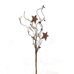 Mix Pip Berries & Star Pick Farmhouse Mix