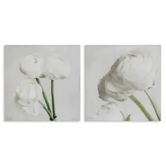 Stupell Industries Simple White Peony Stems 2 pc Canvas Wall Art Set Design by Jennifer Rigsby