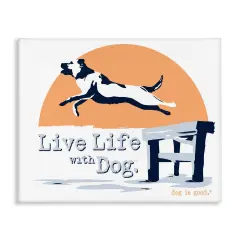 Stupell Industries Dog Jumping off Dock Canvas Wall Art Design by Dog Is Good