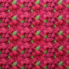 Mook Fabrics Fruit-Vegetables Cotton Fabric [45 in. Wide] - By The Yard Raspberries