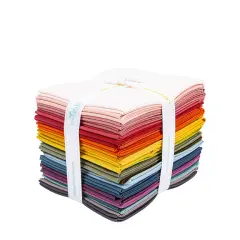 Confetti Cotton Fat Quarter Bundle in Moody byfor Riley Blake (FQ-MOO120-24)