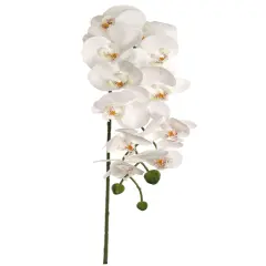 43&rdquo; Phalaenopsis Orchid with 12 Flowers &ndash; White (Set of 3) | Real Touch Artificial Orchids for Home & Office D&eacute;cor