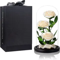 White Roses Handmade Preserved Real Rose in Glass Dome, Long Lasting Roses Never Withered, Birthday Gifts for Women (13 inch)