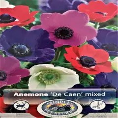 De Caen Anemone Windflower Mix - 15 Bulbs - Very Hardy! - 8/+cm Bulbs