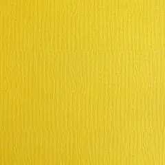LEMON TWIST - Textured 12x12 Cardstock - Encore Paper