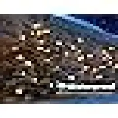 Berry String Lights Plugin, Xmas Tree Lights Green Wire for Indoor