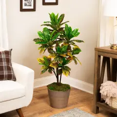 Northlight Artificial Croton Tree with Variegated Leaves - 45.75" Green