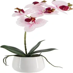 Artificial Orchids in Ceramic Pottery,Fake Orchid with Real Touch Stems, Faux Orchid Flowers for Artificial Flora Table Arrangement Centerpiece,Gift for Mom,Wife,Friends.Home & Office Decoration(16in)
