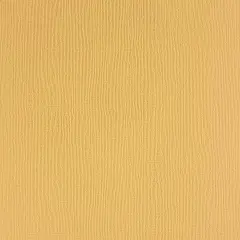 DESERT SAND - Textured 12x12 Cardstock - Encore Paper