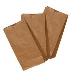 Small Kraft Grocery Bags 5'' x 3 1/8'' x 9 3/4''