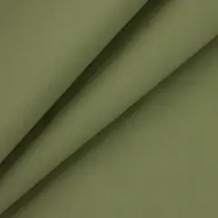 Richloom 9 oz. Cotton Duck Canvas Deep Lichen