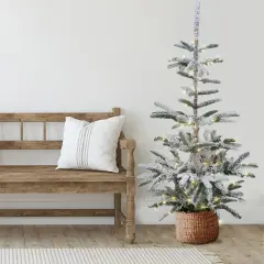 Northlight Real Touch&trade;️ Pre-Lit Slim Flocked Nordmann Fir Artificial Christmas Tree - 6.5' - Warm Clear LED Lights Green