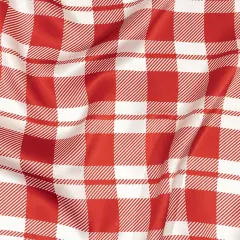 1 Yard Balenciaga Italian Red and White Plaid Silk Charmeuse Lightweight Designer 55 inch Width