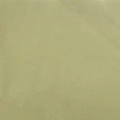 1 Yard Duomo Brushed Fabric Pistachio Color 58/60" Width Soft Polyester Apparel Use