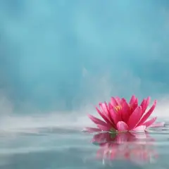 Ozonic - Premium Fragrance Oil