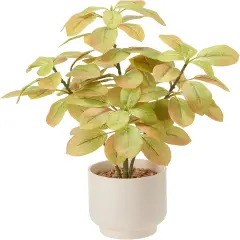 18" Fall Artificial Eucalyptus Plant