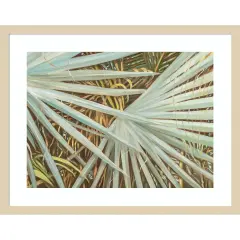 Suave Fronds by Suzanne Wilkins Wood Framed Wall Art Print