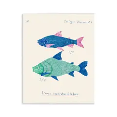 Stupell Industries Sea Fauna Studies Wall Plaque Art Design by Marina Astudillo