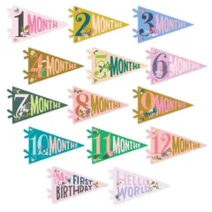 LITTLE ARTIST PETIT MILESTONE PENNANTS