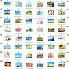 Hanging Photo Display with 50 Clips