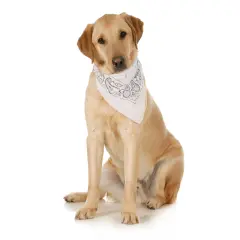 5-Pack Paisley Cotton Dog Scarf Triangle Bibs- XL and Washable