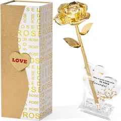 Gold Dipped Real 24K Gold Rose, 1 Pack Infinity Flower Decor Hand Dipped in 24K Romantic Rose Gifts for Women in Her Wife Girlfriend Birthday Anniversary Valentines Mothers Day Christmas(Gold)