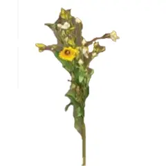 Yellow Anemone Spray