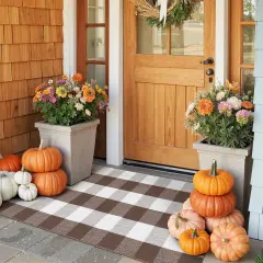 Fall Front Door Mat Buffalo Plaid Outdoor Rug - 24"x51" - Coffee & White