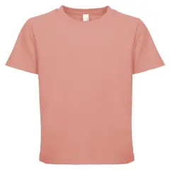 Next Level&reg; Apparel Youth Boys&rsquo; Cotton Crewneck T-Shirt DESERT PINK