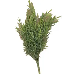 Dill Leaves Bush, 15"