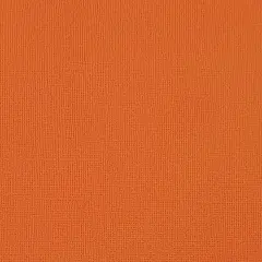 GINGERSNAP - Textured 12x12 Cardstock - Encore Paper