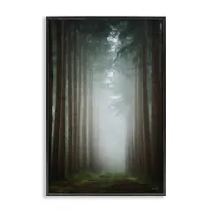 Stupell Industries Moonlight Through Dark Forest Framed Giclee Design by Martin Podt