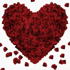 1000 Pieces Rose Petals