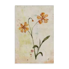 Stupell Industries Ceropsis Flower Sprig Canvas Wall Art Design by Lydia Orange