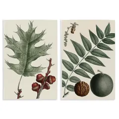 Stupell Industries Tree Leaves & Nuts 2pc Wall Plaque Art Set Design by Graffi*tee Studios